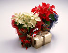 Christmas Wallpapers 34